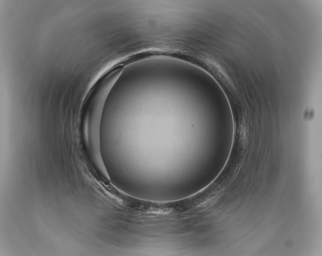 X0000089380484200706221258