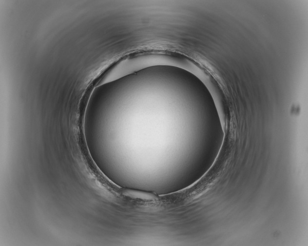 X0000089380485200706221258