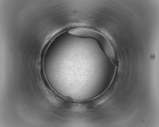 X0000089380486200706221258