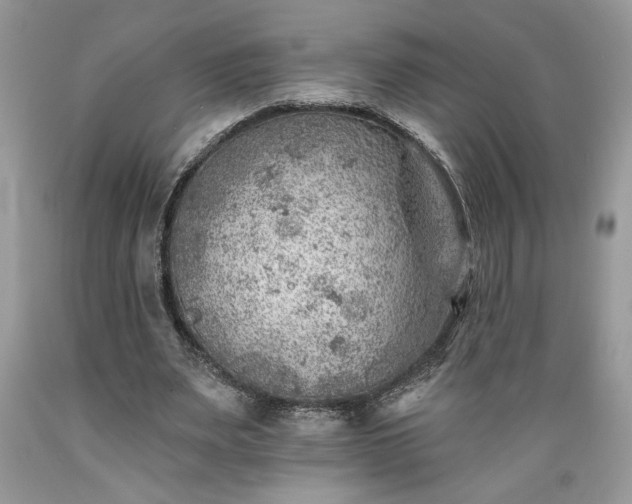X0000089380487200706221258