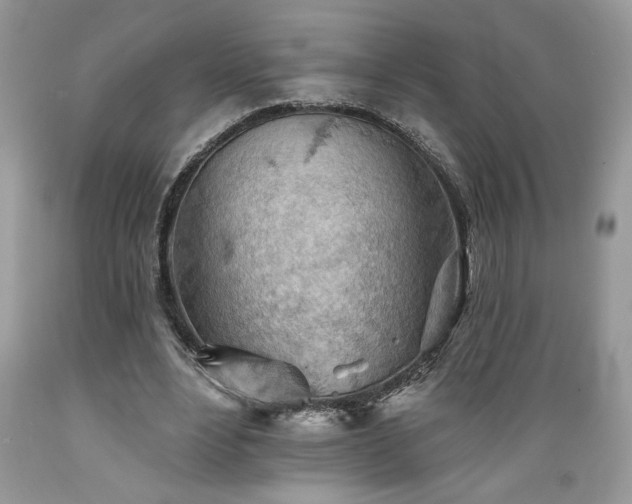 X0000089380488200706221258