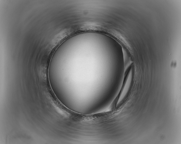 X0000089380489200706221258