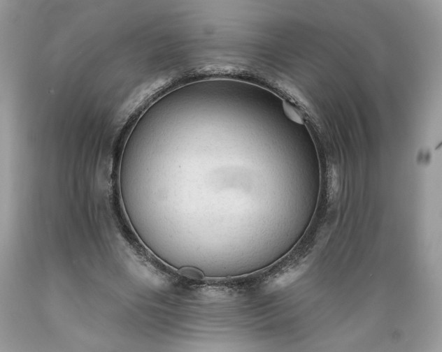 X0000089380490200706221258