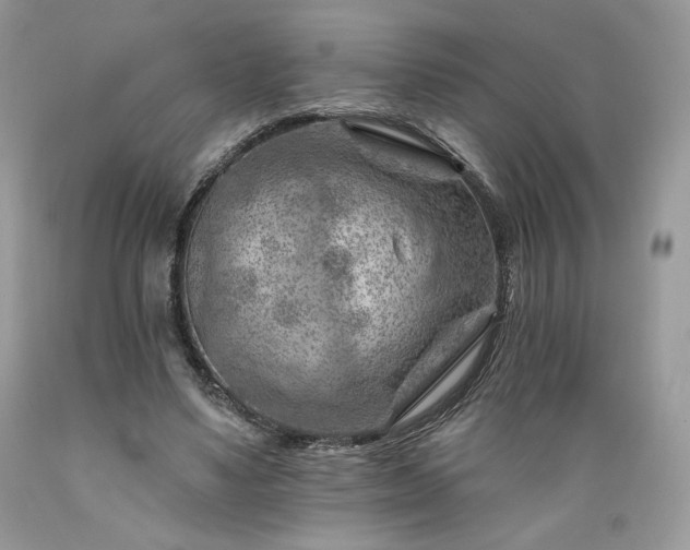 X0000089380491200706221258