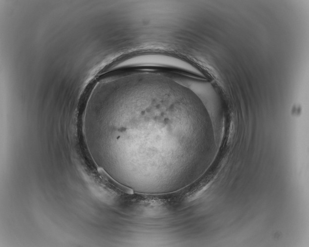 X0000089380492200706221257