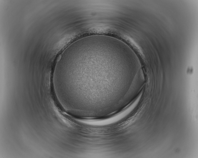 X0000089380493200706221257