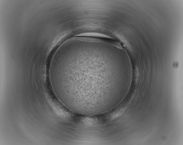 X0000089380494200706221257