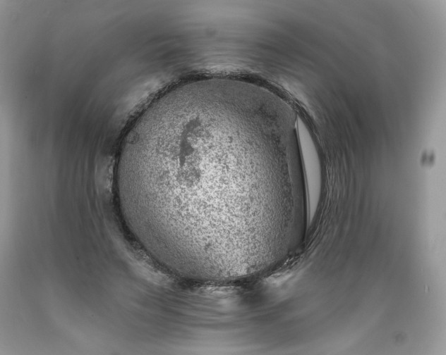 X0000089380495200706221257