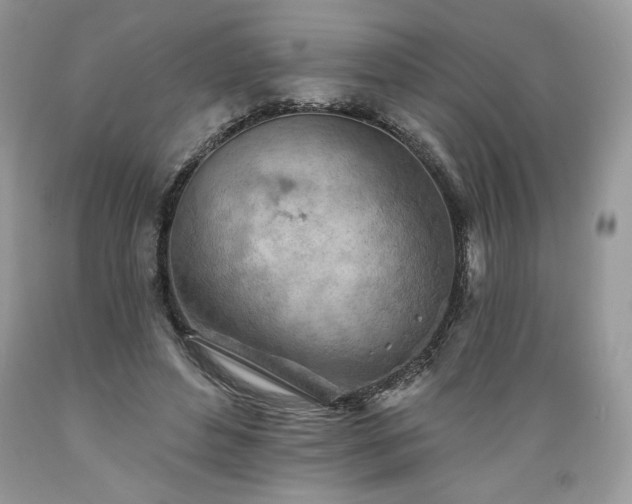 X0000089380496200706221257