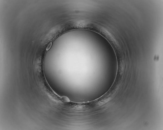 X0000089380497200706221257
