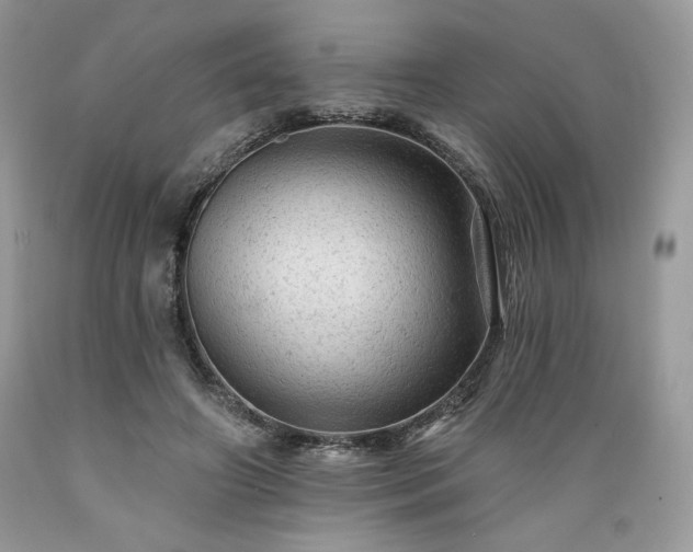 X0000089380498200706221257