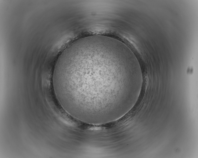 X0000089380499200706221257