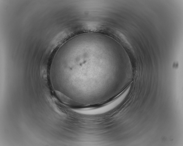 X0000089380500200706221257