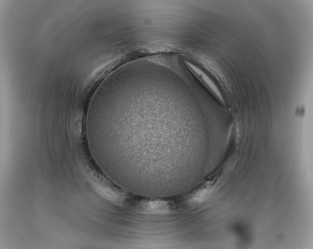 X0000089380501200706221257