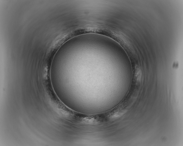 X0000089380502200706221257