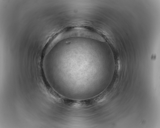 X0000089380504200706221257