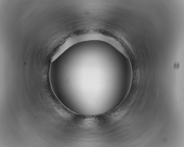 X0000089380505200706221257