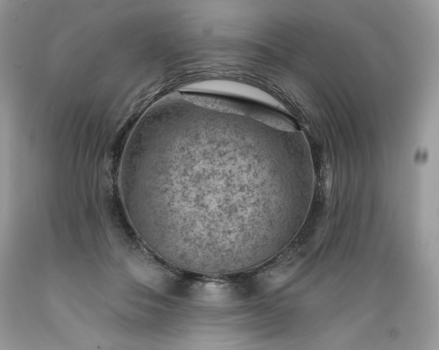 X0000089380506200706221257