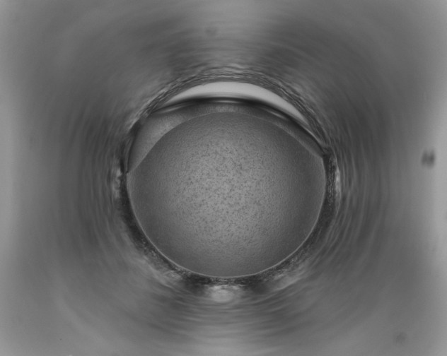 X0000089380508200706221257