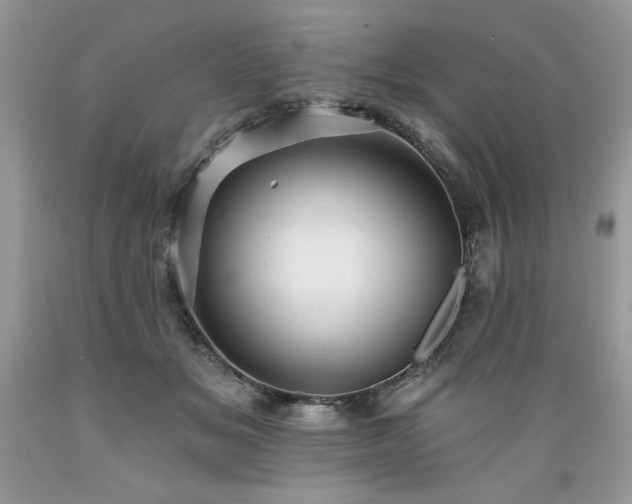 X0000089380509200706221257