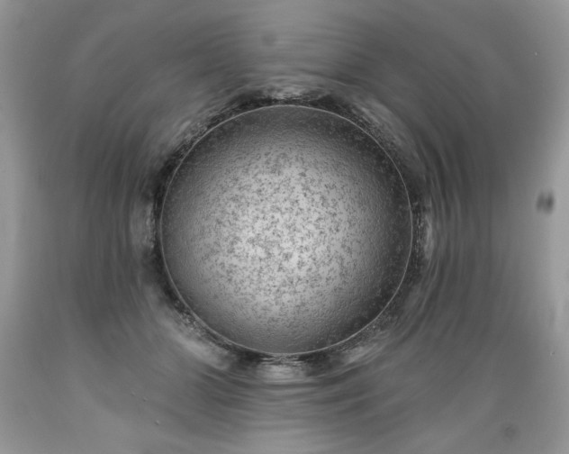 X0000089380510200706221257