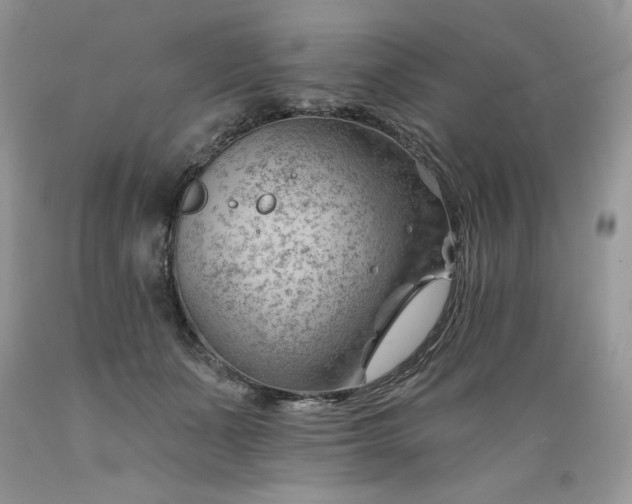 X0000089380511200706221257