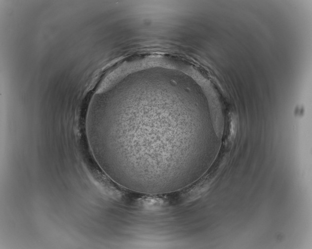 X0000089380512200706221257