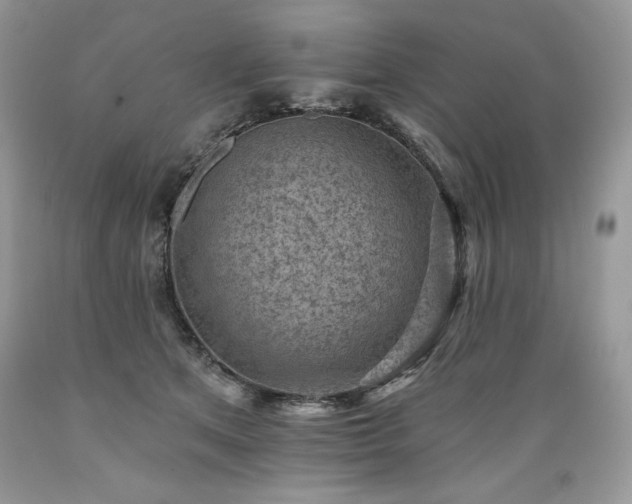 X0000089380513200706221257