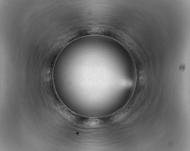 X0000089380514200706221257