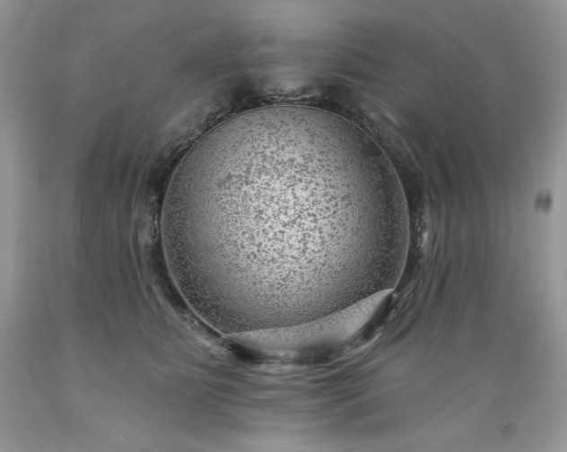 X0000089380515200706221257