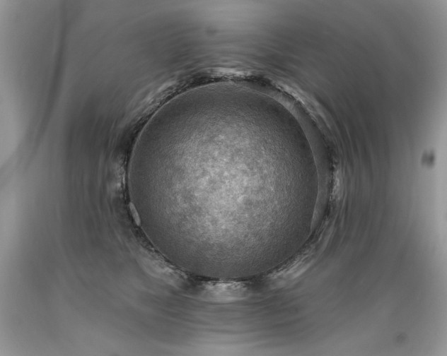 X0000089380517200706221257