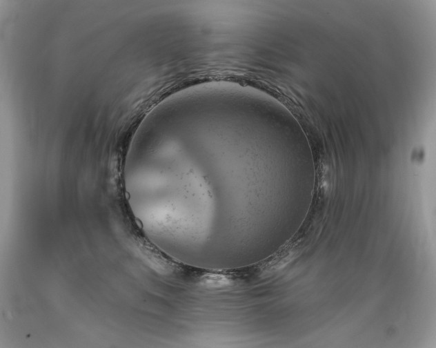 X0000089380519200706221257