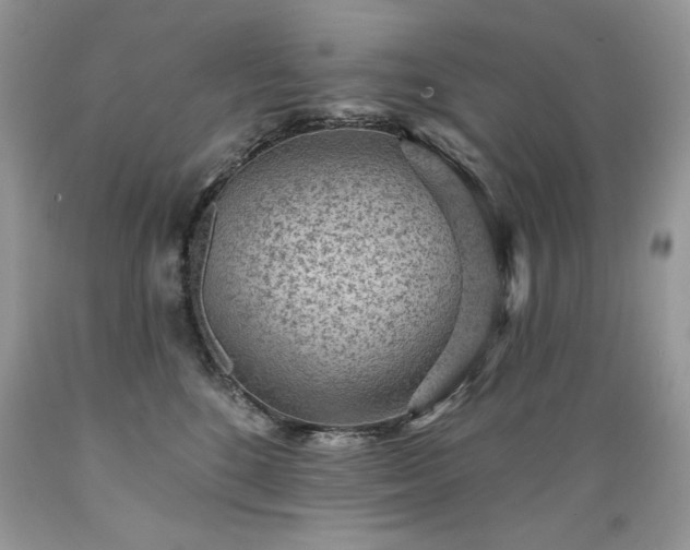 X0000089380520200706221257