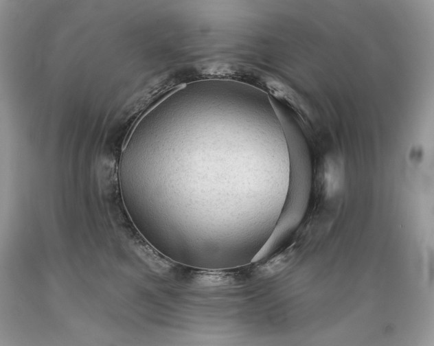 X0000089380521200706221257