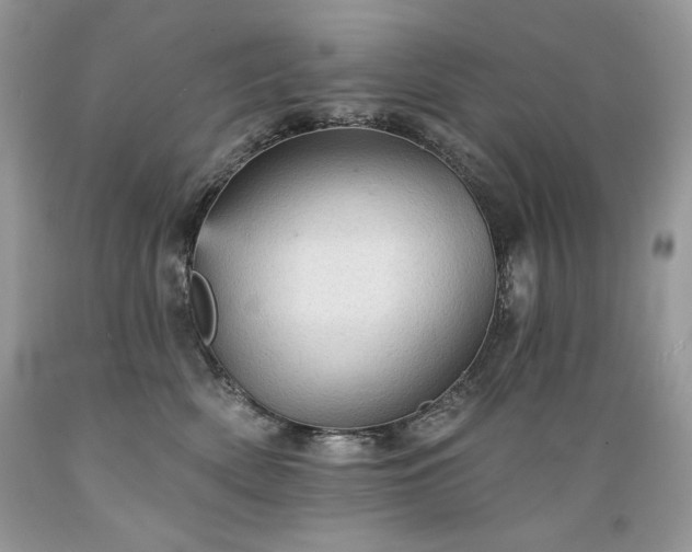 X0000089380522200706221257