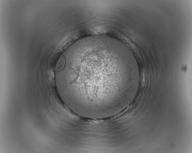 X0000089380523200706221257