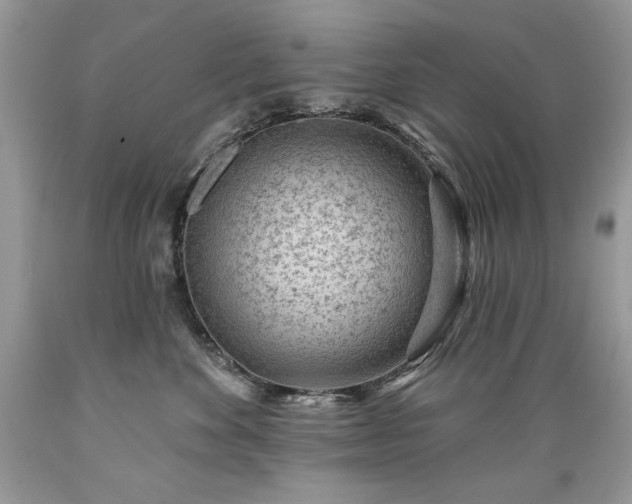 X0000089380524200706221257