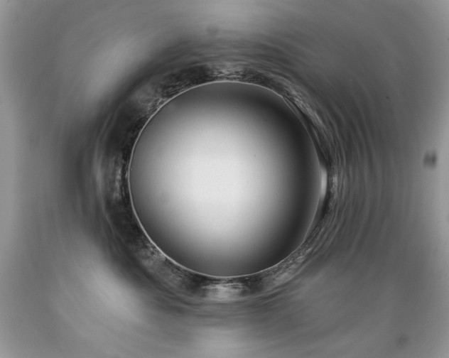 X0000089380525200706221257