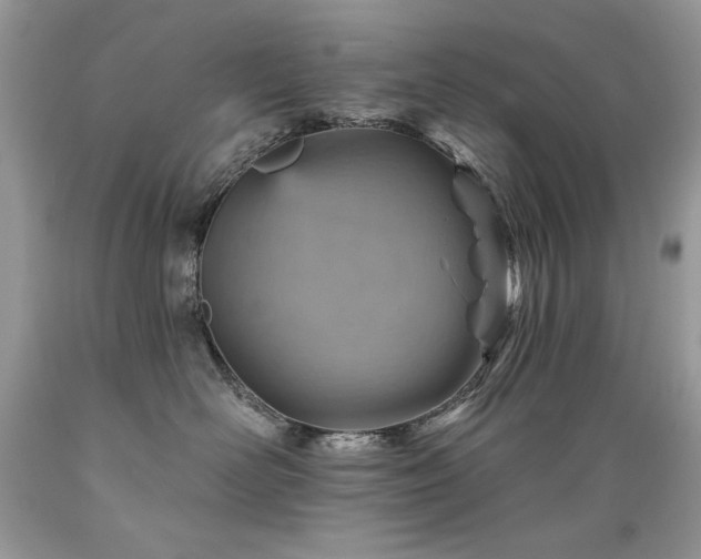 X0000089380526200706221257