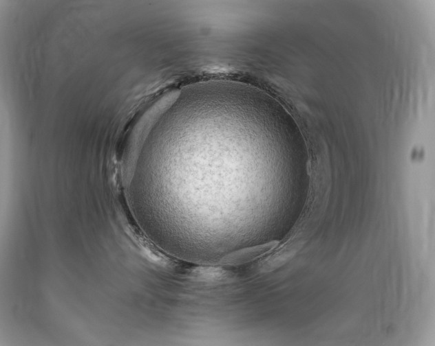 X0000089380528200706221257