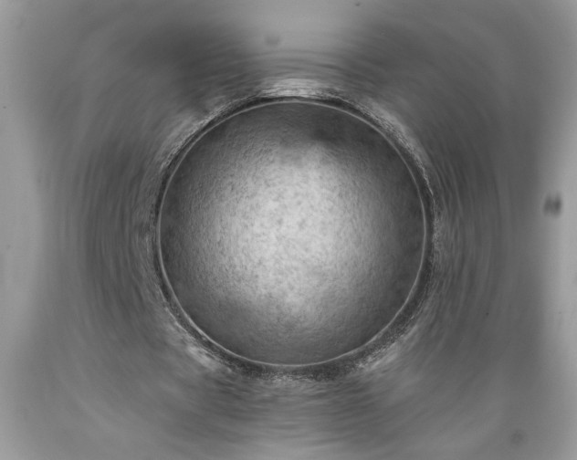 X0000089380529200706221256