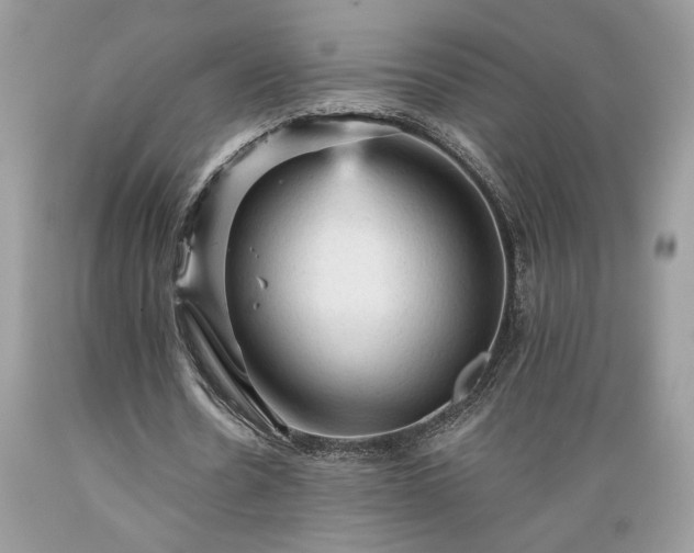 X0000089380530200706221256