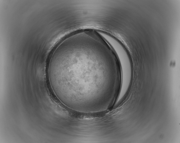 X0000089380531200706221256