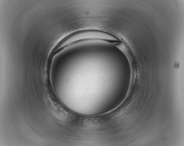 X0000089380532200706221256