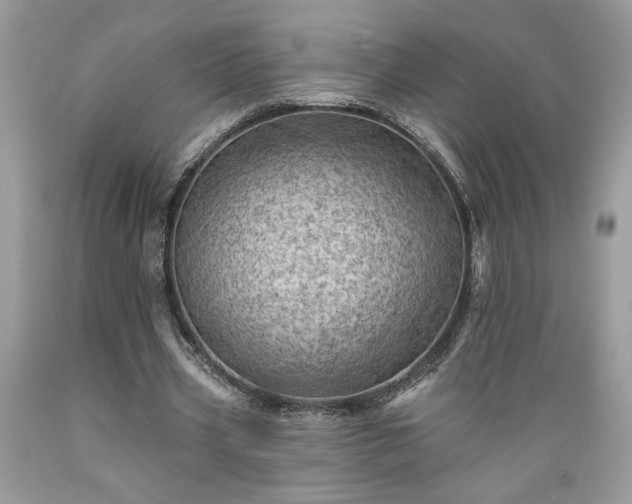 X0000089380533200706221256