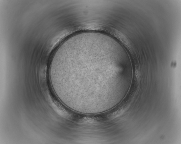 X0000089380534200706221256