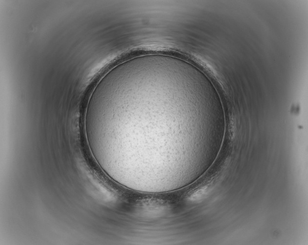 X0000089380535200706221256