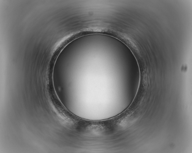 X0000089380536200706221256