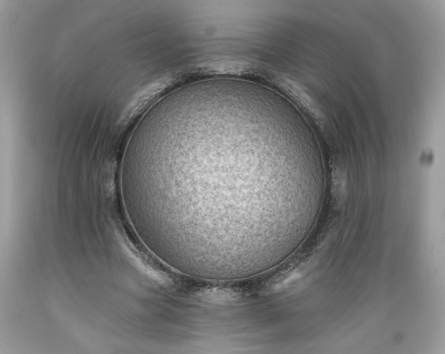 X0000089380537200706221256