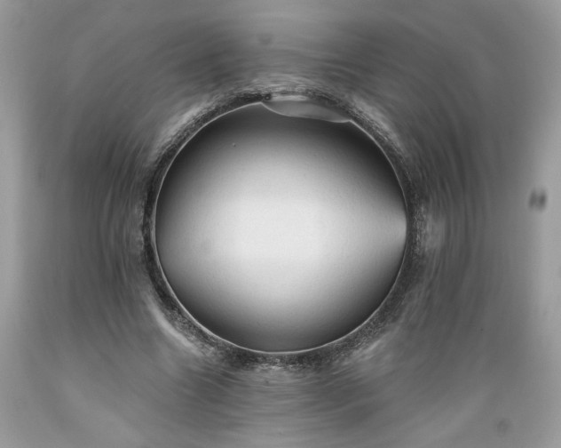 X0000089380538200706221256